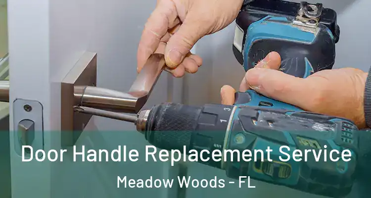  Door Handle Replacement Service Meadow Woods - FL