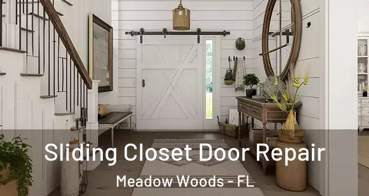  Sliding Closet Door Repair Meadow Woods - FL