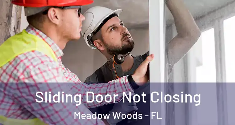  Sliding Door Not Closing Meadow Woods - FL