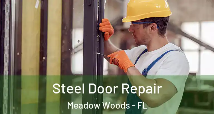  Steel Door Repair Meadow Woods - FL