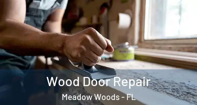  Wood Door Repair Meadow Woods - FL